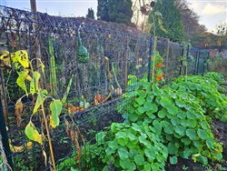 tourville-sur-arques (27)